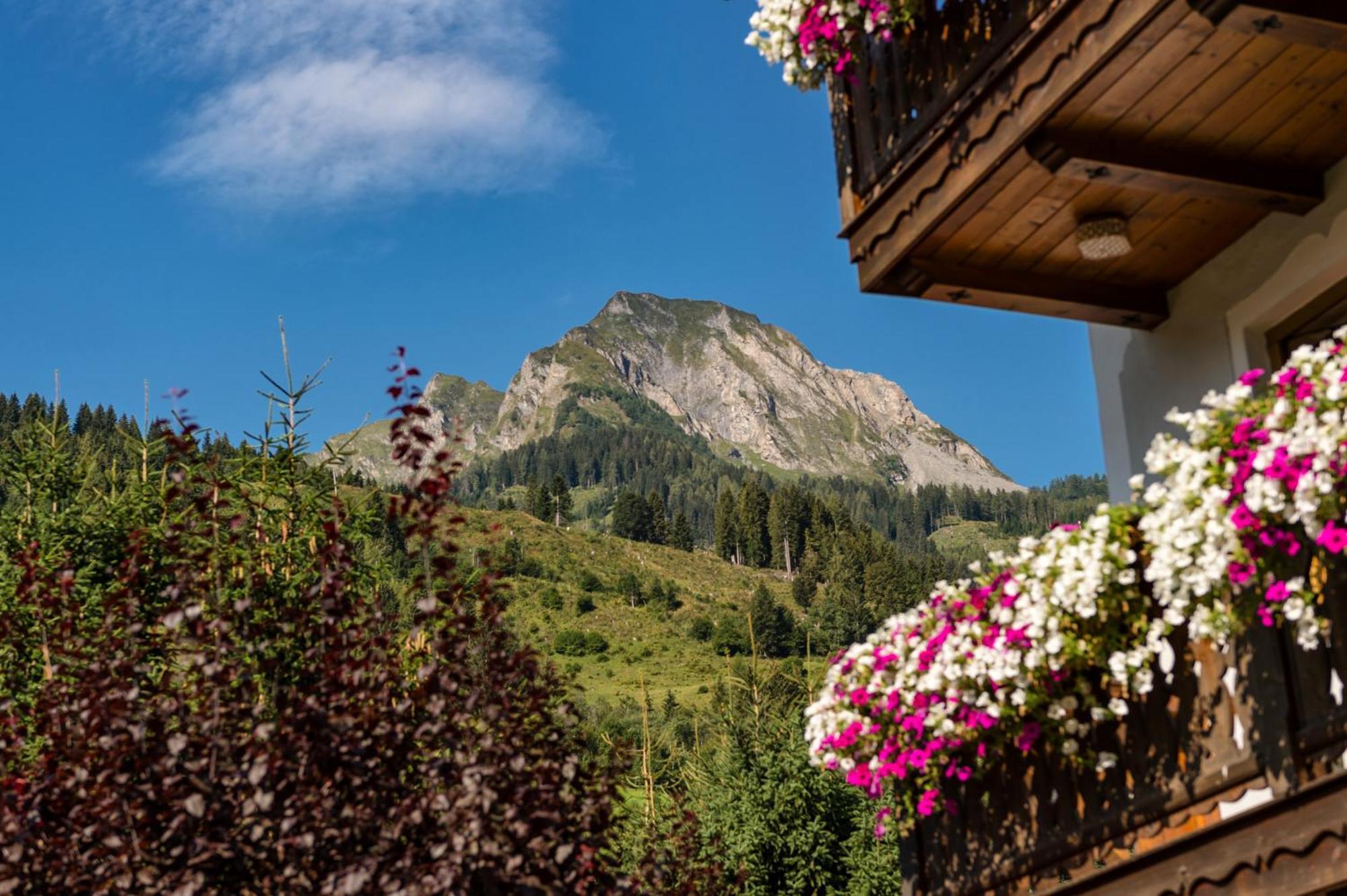 Bauernhofhotel "Die Unterbergerin": Farm Stay with Spa Access in Gastein Dorfgastein Exterior photo