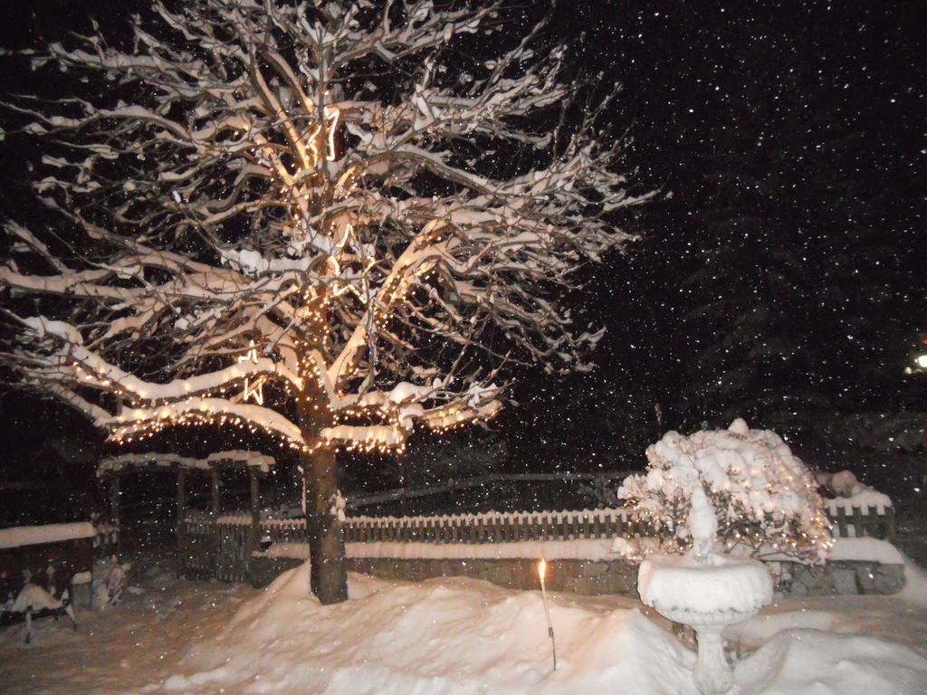 Bauernhofhotel "Die Unterbergerin": Farm Stay with Spa Access in Gastein Dorfgastein Exterior photo