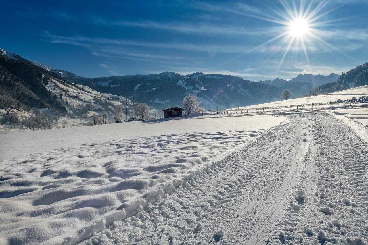 Bauernhofhotel "Die Unterbergerin": Farm Stay with Spa Access in Gastein Dorfgastein Exterior photo